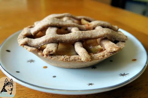 DIY APPLE PIE FOR DOGS | Gone to the Snow Dogs Pie For Dogs, Diy Apple Pie, Diy Pie, Diy Apple, Apple Pie Recipe, Dog Treats Homemade Recipes, Apple Season, Pie Pan, Apple Pie Recipes