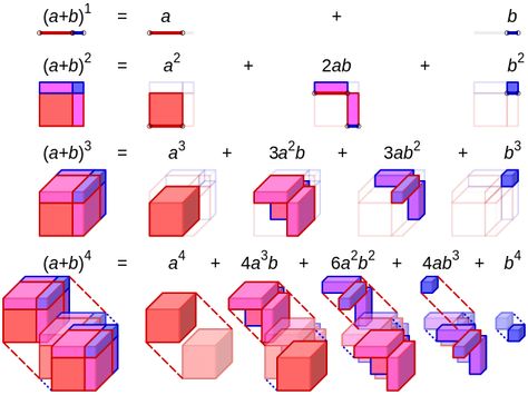 From Wikiwand: Visualisation of binomial expansion up to the 4th power Math Infographic, Gre Math, Binomial Theorem, Motion Graphs, Math Practice Worksheets, I Love Math, Education In India, Printable Preschool Worksheets, Physics And Mathematics