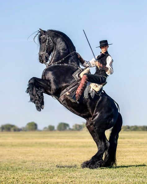 Guy On Horse Reference, Man Riding Horse Reference, Horse Rearing With Rider Drawing, Man On Horse Painting, Chess Horse Drawing, Rearing Horse With Rider, Horse Standing Up, Person On Horse Reference, Horse Riding Poses