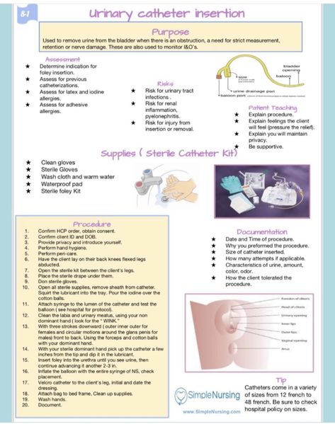 Urinary Catheter Insertion, Indwelling Catheter Nursing, Foley Catheter Nursing, Bowel Elimination Nursing Notes, Foley Catheter Insertion, Future Lpn, Nurse Charting, Nursing Concepts, Urinary Catheterization