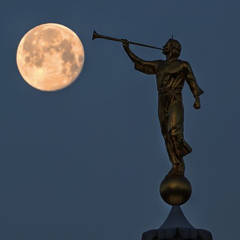 Angel Moroni Temple Wedding Photos, Angel Moroni, Temple Lds, Mormon Temples, Lds Art, Temple Wedding, Lds Temple, Angel Statues, Moon Cycles