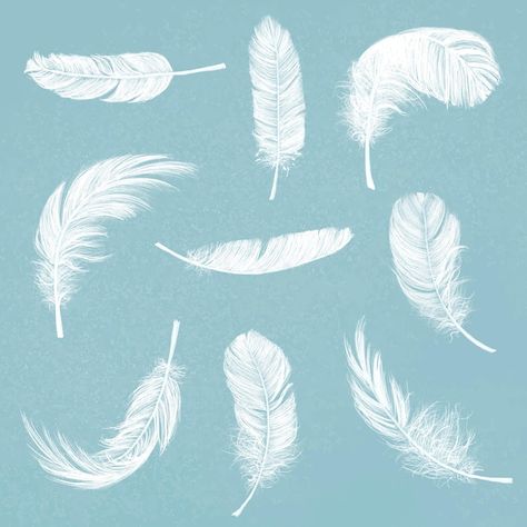 Free vector hand drawn white feather vec... | Free Vector #Freepik #freevector #dreamy #feather #aesthetic #aesthetic-design Feather Aesthetic, Feather Circle, Feather Signs, Feather Quill Pen, Sky Vector, Ink Logo, Feather Illustration, Feather Logo, Ancient Drawings