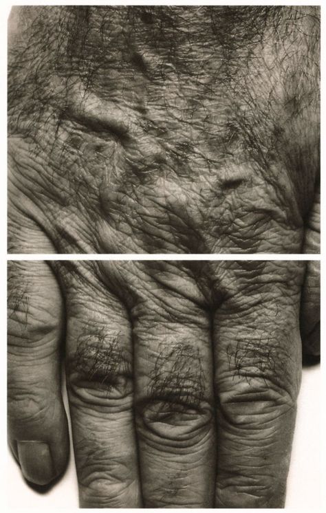 John Coplans. 'Self Portrait (Hands)' 1988Self Portrait (Hands) 1988 Silbergelatinepapier Albertina, Wien Interlocking Fingers, You Are So Beautiful To Me, Close Up Art, A Level Photography, Tout Rose, Human Body Anatomy, Body Art Photography, Hand Photography, Tattoo Women