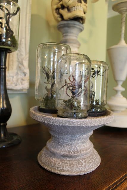 Halloween Cloche, Specimen Jars, Halloween Trophies, Halloween Vignette, Specimen Display, Winter Entertaining, Spider Skull, Halloween Jars, Halloween Apothecary