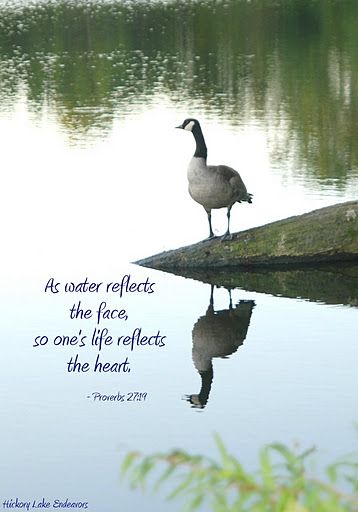 Water Reflection Quotes, Proverbs 27 19, Proverbs 27, Online Prayer, Reflection Quotes, Wisdom Books, Universal Language, Water Reflections, Printable Bible Verses