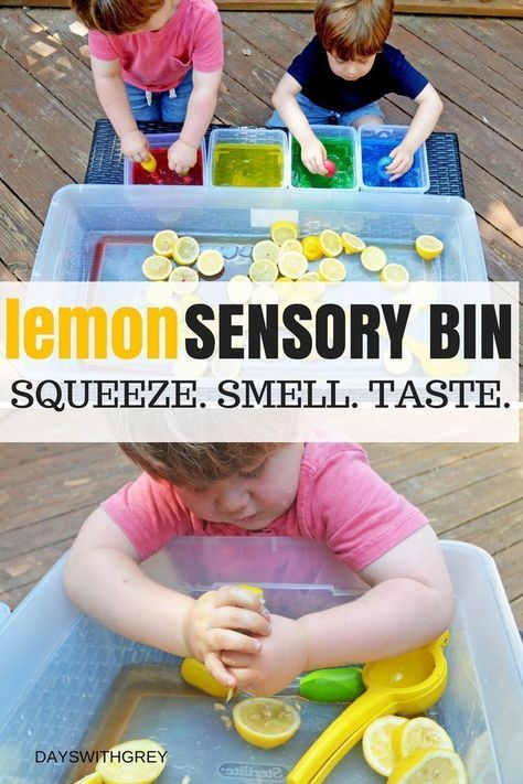 5 Senses Activities, Senses Preschool, Sensory Tubs, Senses Activities, Diy Montessori, Sensory Activities Toddlers, Toddler Classroom, Toddler Sensory, Sensory Boxes