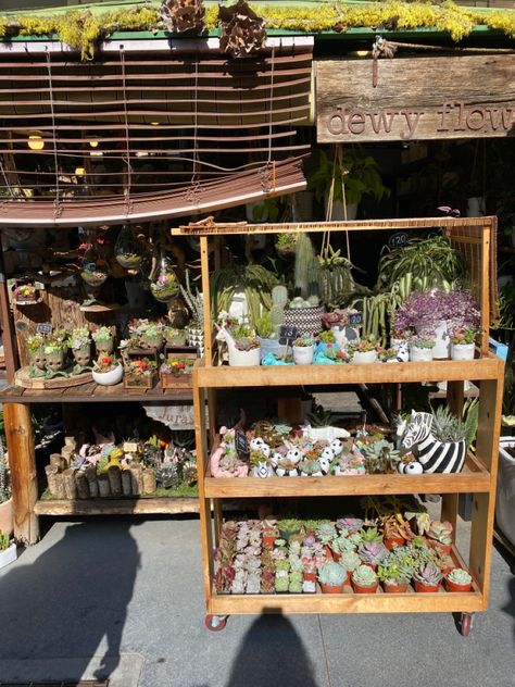 Craft Fair Plant Booth, Succulent Shop Display, Succulent Booth Display, Plant Booth Display, Herbalist Vendor Booth, Houseplant Shop Display, Farmers Market Display, Market Displays, Booth Display