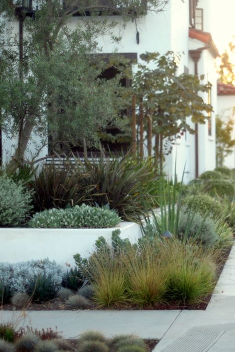 Succulent Landscape Design, Australian Native Garden, Succulent Landscaping, Drought Tolerant Landscape, Australian Garden, Meteor Garden 2018, Coastal Gardens, Mediterranean Garden, Native Garden