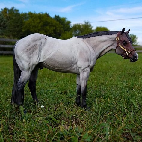 Collecta Horses, Miniature Horse Barn, Breyer Photography, Breyer Custom, Horse Figures, Animal Figurine Toys, Unusual Horse, Diy Horse Barn, Horse Model