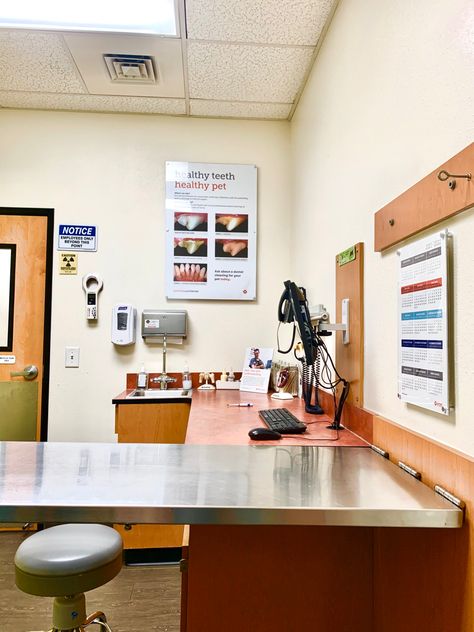 Vet Tech Office Ideas, Veterinary Office, Vet Clinic Aesthetic, Vet Doctor, Vet Exam Room, Vets Office, Doctors Office Aesthetic, Vet Office Manager, Vet College