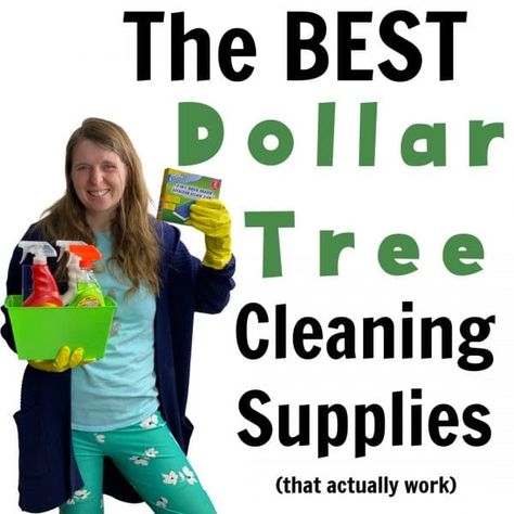 Dollar Tree Cleaning Supplies, Dollar Tree Cleaning, Game Hen Recipes, Kinds Of Steak, Cornish Hen, Cleaning Supplies List, Dollar Tree Organization, Pill Dispenser, Cleaning Supplies Organization