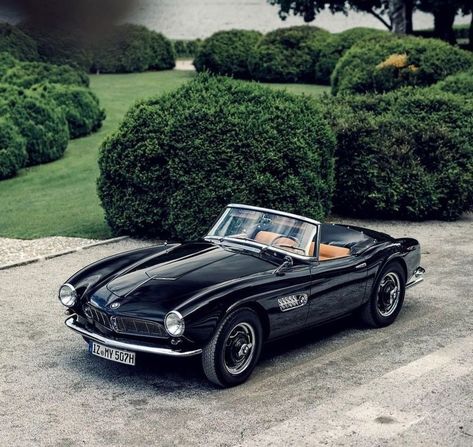 Bmw 507 Roadster, Bmw 507, 1950s Car, Classic Bmw, Old Vintage Cars, Bmw Classic, Classic Sports Cars, Classy Cars, V8 Engine