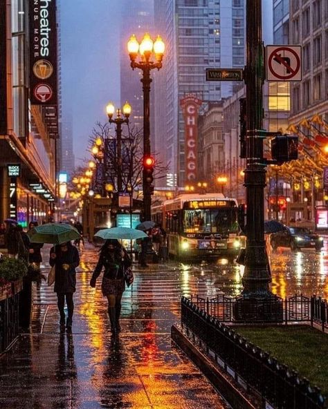 Old Town Chicago, Chicago Night, City Rain, Chicago Aesthetic, Chicago At Night, Chicago Street, Rainy Day Aesthetic, Chicago Artists, Chicago Travel