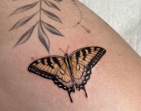 Eastern Swallowtail Butterfly Tattoo, Eastern Tiger Swallowtail Butterfly Tattoo, Eastern Tiger Swallowtail Tattoo, Black And Yellow Butterfly Tattoo, Yellow Swallowtail Butterfly Tattoo, Tiger Swallowtail Butterfly Tattoo, Brown Butterfly Tattoo, Butterfly Tattoo Leg, Swallowtail Butterfly Tattoo