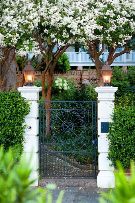 Charleston South Carolina Homes, Spring Planter Ideas, Charleston Gates, Spring Garden Ideas, Courtyard Gate, Townhouse Exterior, Spring Planter, Apartments Exterior, Small Courtyard