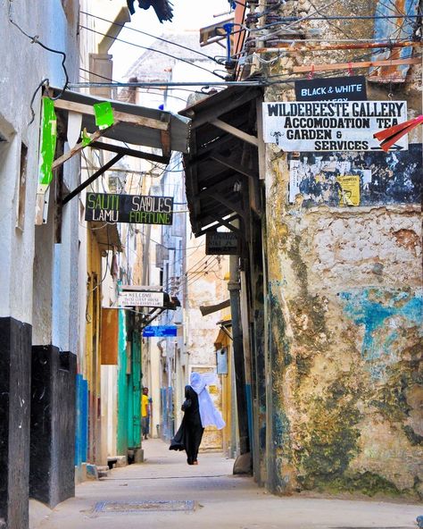 12 Captivating Reasons to Visit Lamu Island, Kenya Lamu Island Kenya, Lamu Island, Lamu Kenya, Travel Africa, Travel List, East Africa, Africa Travel, Wanderlust Travel, Travel Bucket