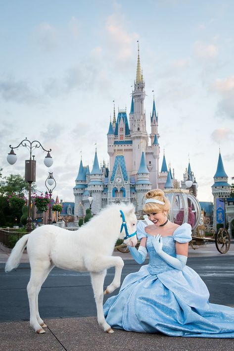 Pônei da Cinderela nasce no Tri-Circle-D Ranch - Viajando para Orlando Walt Disney Paris, Disney World Castle, Disney Word, Disney Parque, Disney World Pictures, Tema Disney, Disney Face Characters, Cinderella Disney, Disney Aesthetic