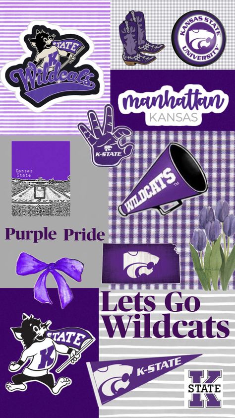 Collage, ksu, cute, preppy Vet Tech School, Kansas State University, Dream College, Kansas State Wildcats, Tech School, Painted Jeans, Kansas State, Art Club, College Life