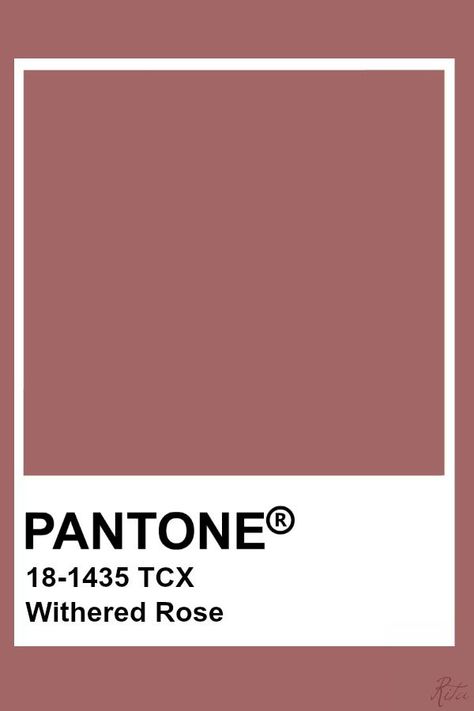 Pantone Withered Rose Pantone Aesthetic Color Palettes, Autumn Pantone, Pantone Tcx, Withered Rose, Pantone Swatches, Pantone Palette, Pantone Colour Palettes, Pantone Colors, Color Inspo