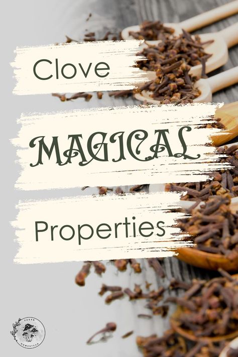 Check out the magical properties that clove has to offer. Cloves Magick, Clove Magical Properties, Vanilla Magical Properties, Clove Witchcraft, Magical Properties Of Cloves, Candle Magic, Herbs, Plants, Flowers