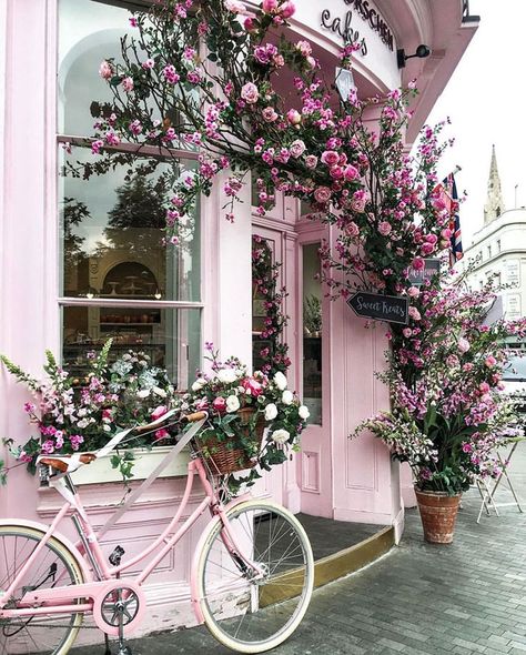 pink flowers and bike Peggy Porschen Cakes, Pink Bicycle, Flowers Growing, Pink Bike, Everything Pink, Wisteria, Love Flowers, Pink Aesthetic, Flower Shop