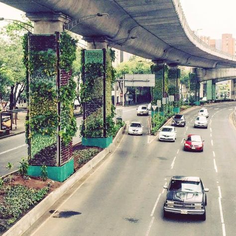 vertical gardens in mexico city Hotel Landscape, Urban Intervention, Eco City, Public Space Design, Urban Landscape Design, Sustainable City, Deco Nature, Green Architecture, Green City