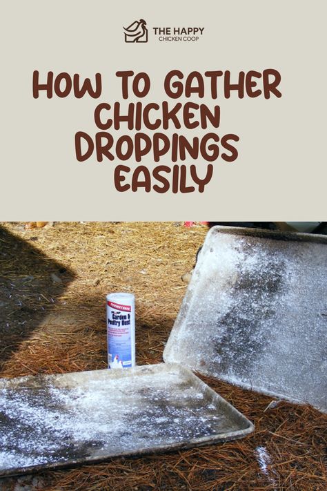 Wondering how to collect chicken poop and what to do with it once you’ve cleaned the coop? Learn more in this in-depth guide. Chicken Coop Poop Catcher, Chicken Coop Cleaning Hacks, Chicken Poop Catcher, Cleaning Chicken Coop, Chicken Manure Compost, Manure Composting, Chicken Manure, Chicken Poop, Chicken Feed