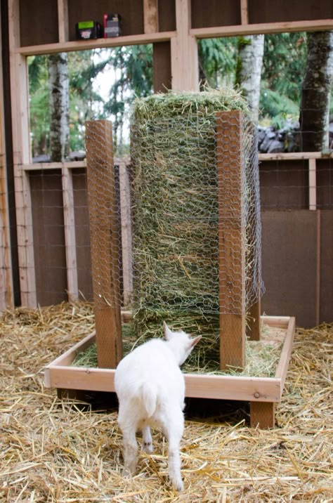 Square bale hay feeder for goats! What a great idea for goats! Homestead DIY Square Bale Hay Feeder, Hay Feeder For Goats, Goat Hay Feeder, Goat Feeder, Goat Playground, Goat Pen, Goat Shelter, Goat House, Goat Care