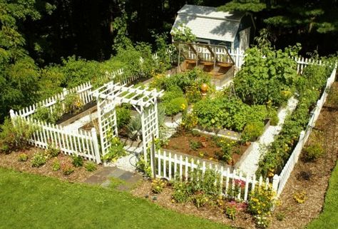 Mini Farming, Pioneer Living, Garden Layout Vegetable, Chicken Ideas, Animal Husbandry, Potager Garden, Backyard Vegetable Gardens, Flower Garden Design, White Picket Fence