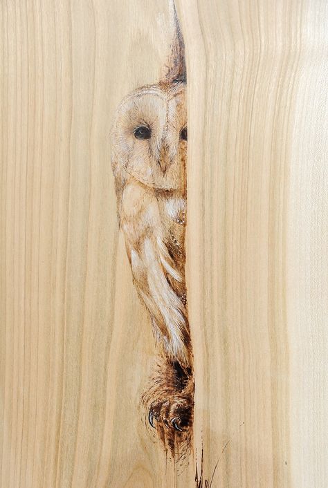 Wood Burning Animals, Pyrography Ideas, Wood Burning Tips, Woodburning Ideas, Wood Burning Stencils, Wood Burning Techniques, Owl Animal, Animals Drawing, Wood Burn Designs