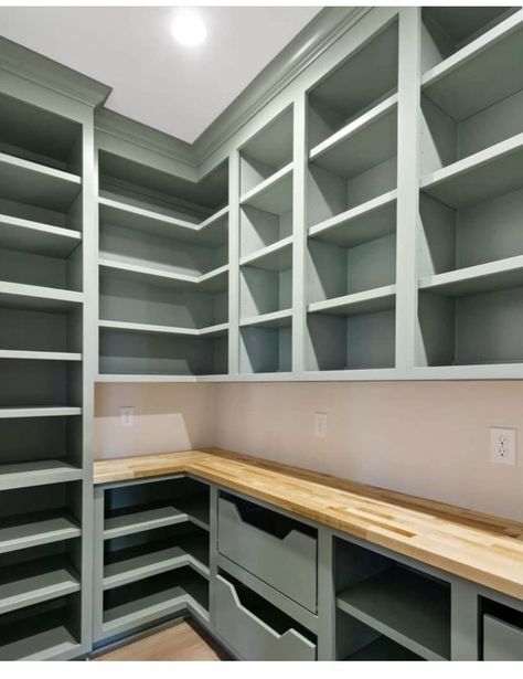 Pantry With Outlets, Closet Designs With Laundry, Smaller Walk In Pantry, Diy Butler Pantry Ideas, Pantry With Stained Wood Shelves, Rev A Shelf Pantry, Produce Drawers Pantry, Diy Pantry Countertop, Butlers Pantry Design Walk In