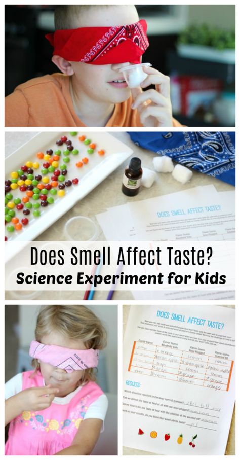 How Does Smell Affect Taste Science Fair, Senses Science Experiment, Smell Science Experiment, Senses Stem Activities, 5 Senses Experiments For Kids, 1 Hour Science Experiments, Does Color Affect Taste Science Fair, Taste Buds Activities, 5 Senses Science Experiments