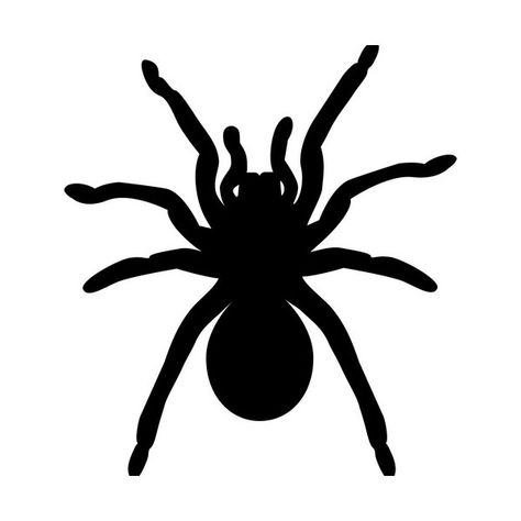 Simple Tarantula Tattoo, Tarantula Drawing Easy, Spider Cutout, Tarantula Drawing, Spider Silhouette, Tarantula Spider, Cricut Halloween, Silhouette Stencil, Outline Drawings