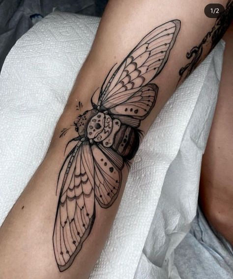 Fold Tattoo, Cicada Tattoo, Dots To Lines, Moth Tattoo, Female Tattoo, American Traditional Tattoo, Minimal Tattoo, Cute Tattoos, Arm Tattoo