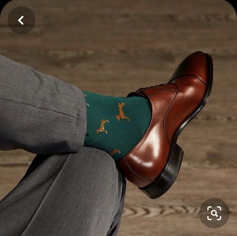 Model Sitting, Bold Socks, Socks Ideas, Dog Profile, Well Dressed Man, Men's Dress Socks, Man Socks, Show Dress, Mens Socks Fashion