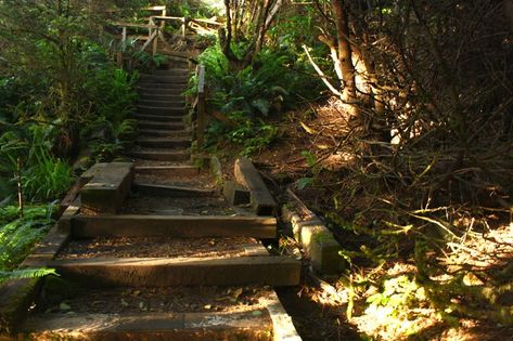 Five Trail Closures on Oregon Coast Due to Legal Wrangling, Possibly More Coming Garibaldi Oregon, Oregon State Parks, Depoe Bay, Southern Oregon Coast, Coos Bay, Pacific City, Rockaway Beach, Park Trails, Cannon Beach