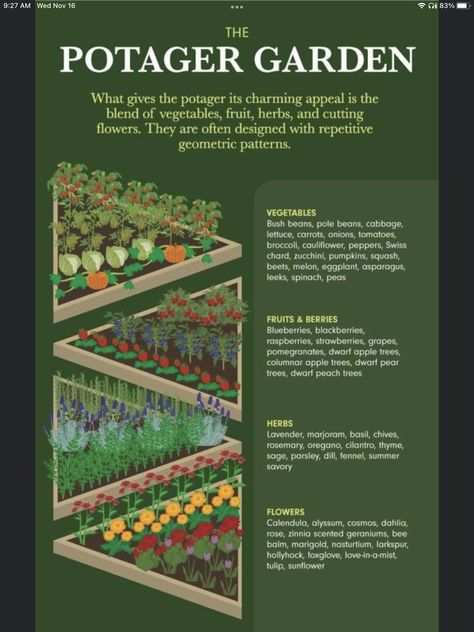 Potager Garden Layout, French Potager Garden, Garden With Raised Beds, Veggie Garden Layout, Vegetable Garden Layout Design, Garden Design Ideas On A Budget, Backyard Plants, Bush Beans, Pole Beans