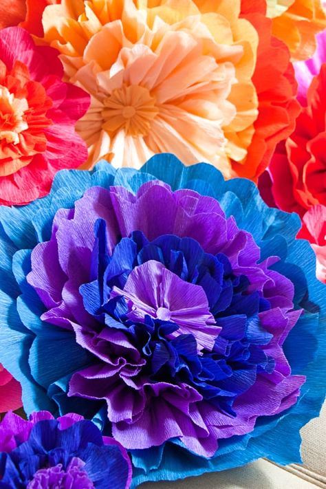 mexican-paper-flowers Mexican Tissue Paper Flowers, Mexican Paper Flowers, Easy Flowers, Tissue Paper Flowers Diy, Tissue Flowers, Diy Flores, Mexican Flowers, Mexican Party Theme, Easy Paper Flowers