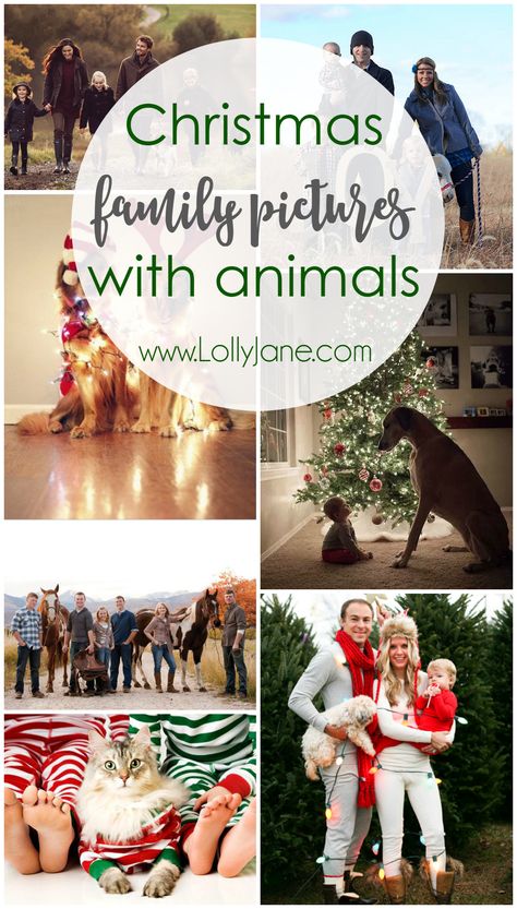 Christmas Card Photo Ideas With Dog, Christmas Family Pictures, Christmas Pet Photos, Dog Christmas Photos, Dog Christmas Pictures, Pet Christmas Cards, Christmas Card Pictures, Dog Christmas Card, Family Christmas Pictures