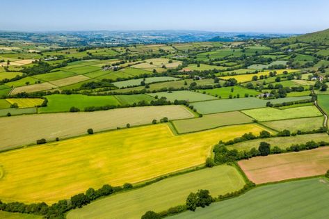 Farmland values are forecast to increase in the short term as the key drivers of supply and demand come into play, Savills says in new analysis. Castle Rooms, Supply And Demand, Irish Cottage, Farm Field, Aerial Photograph, Forest Garden, Water Management, Cloud Painting, Aerial Photo