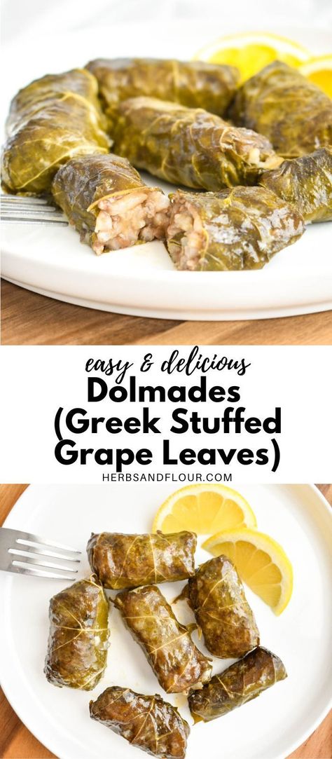 Grape Leaves Stuffed Vegetarian, Greek Stuffed Grape Leaves, Vegetarian Grape Leaves, Greek Grape Leaves, Fall Greek Recipes, Greek Dolmas Recipe, Homemade Greek Food, Dolmades Recipe Vegetarian, Authentic Mediterranean Recipes Healthy