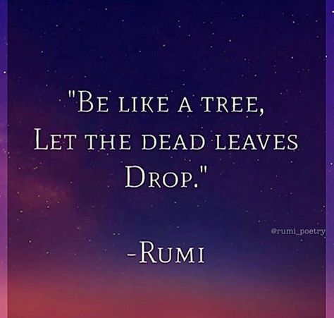 Let the dead leaves drop Positive Quotes For Life Encouragement, Zen Quotes, Rumi Quotes, Robert Kiyosaki, Quotable Quotes, A Quote, Rumi, Great Quotes, Spiritual Quotes