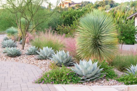 Eden Garden Design Texas Landscaping, River Rock Landscaping, Drought Tolerant Landscape, Modern Landscape Design, Front Landscaping, Woodland Garden, Shade Plants, Landscaping With Rocks, Modern Landscaping