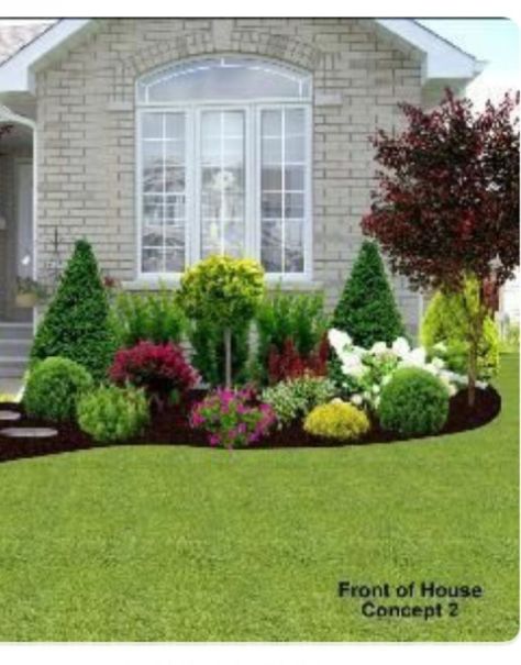 Top 49+ Front Yard Landscaping Ideas Pictures Wonderful Evergreen Grasses Landscaping Ideas 62 Front Garden Landscape, Small Front Yard Landscaping, Front Yard Design, Front Yard Garden Design, Grasses Landscaping, Front Landscaping, Have Inspiration, Front House Landscaping, Home Landscaping