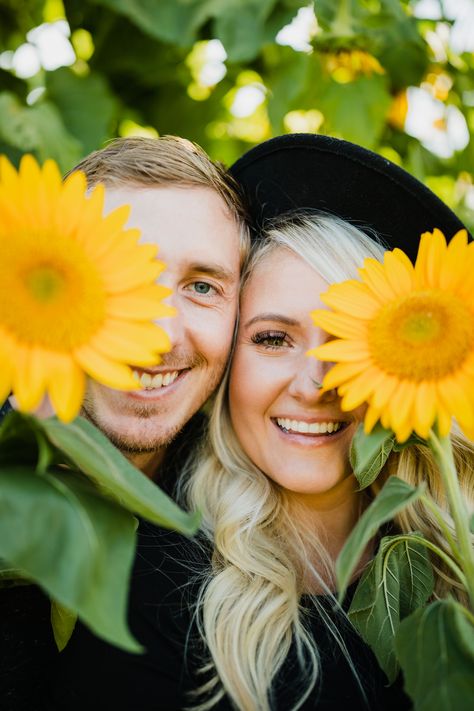 Sunflower Field Poses Family, Sunflower Couple Photoshoot, Field Couples Photoshoot, Pictures With Sunflowers, Sunflower Shoot, Sunflower Field Photography, Sunflower Field Pictures, Sunflower Festival, Sunflower Photoshoot