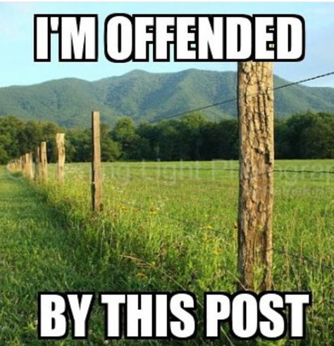 Offended Memes Humor, Offended Quotes, Boring Day, Is It Just Me, Easily Offended, Mind Over Matter, Christian Humor, Funny Signs, Look Alike