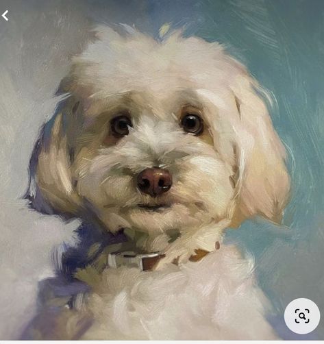 Jennifer Gennari, Chien Shih Tzu, Animal Paintings Acrylic, Expressive Faces, Pet Portrait Paintings, Dog Portraits Painting, Dog Portraits Art, Stile Hijab, Dog Pop Art