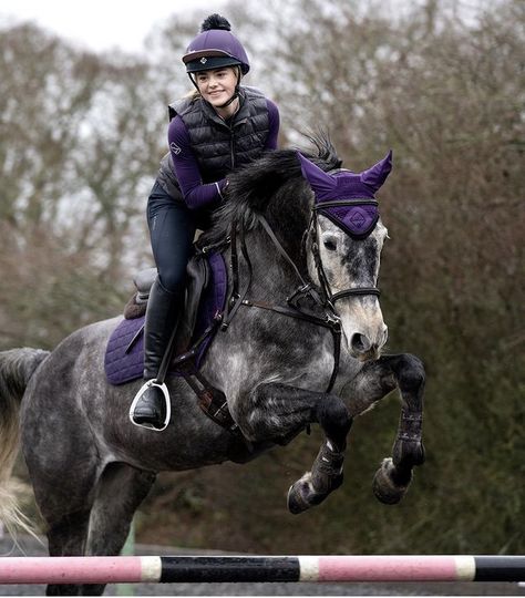 Canterwood Crest, English Horseback Riding, Dapple Grey Horses, English Horse Tack, Jumping Horses, Grey Horses, Horse Coat Colors, Horse Riding Quotes, Horse Riding Outfit