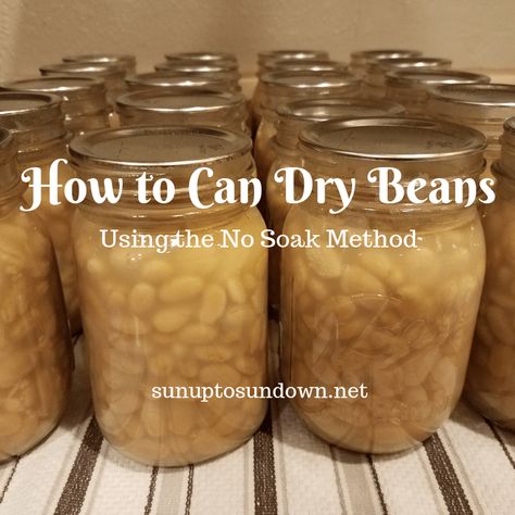 Learn how to can your own dry beans using the no soak method. You can inexpensively and easily can your own beans for next to nothing! Canning Dry Beans, Canning Chili, Canning Beans, Canning Pressure Cooker, Canning Granny, Pressure Canning Recipes, Home Canning Recipes, Canning Vegetables, Canning Food Preservation