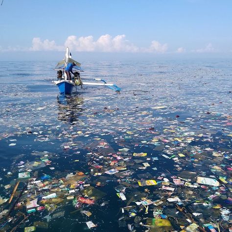 @4ocean posted on Instagram: “We were founded on the belief that business can be a force for good and that the actions of individual people, collectively, have the power…” • Aug 29, 2020 at 6:01pm UTC Plastic In Ocean, Pencemaran Lingkungan, Twenty Dollar Bill, Experience Map, Ocean Cleanup, Beach Clean Up, Save Our Oceans, Data Design, Marine Conservation